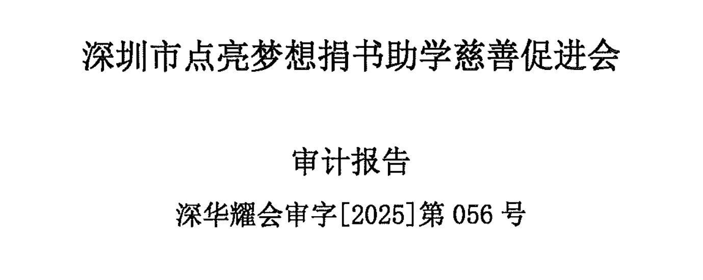 2024年度专项信息审计报告